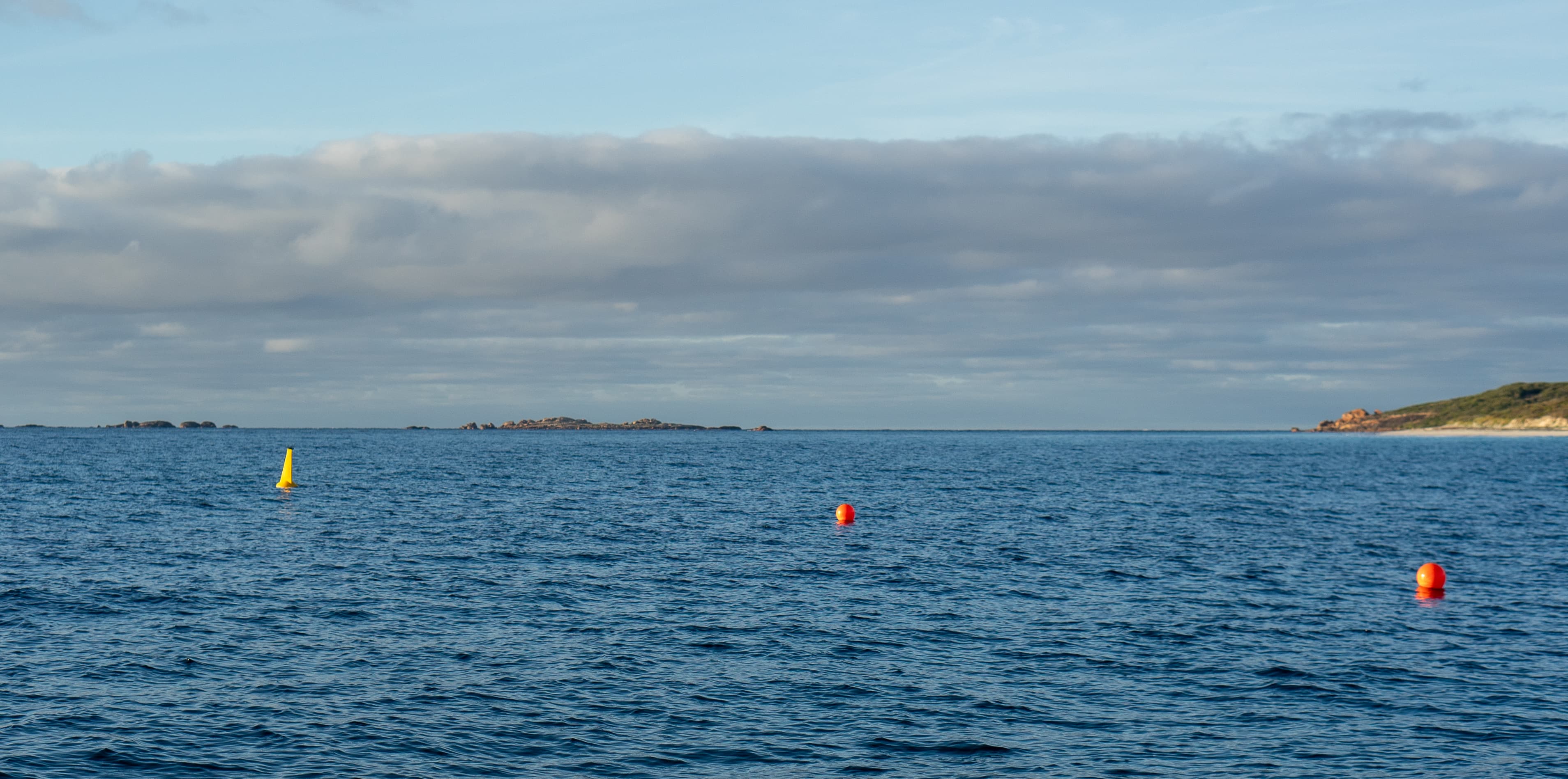 Trial site layout overview